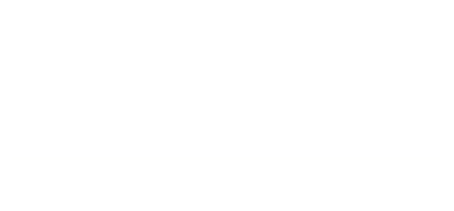 AMIR Medicina